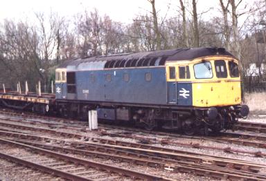 33065 Sealion in BR days